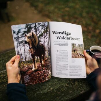 Brandenburg Pferdeland Magazin 2025 Waldarbeiter Story