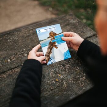 Revier Almanach Wassersport im Osten 2026