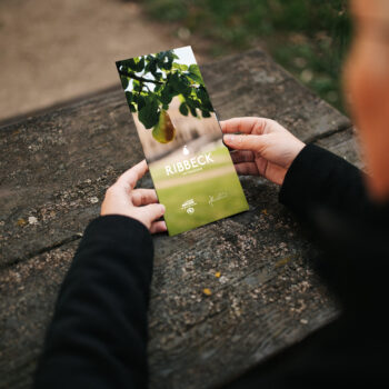 Die Broschüre über Ribbeck im Havelland