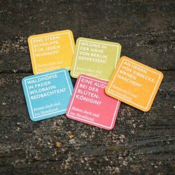 Havelland-Bierdeckel im Set in fünf Farben mit je einem liebevollem Spruch