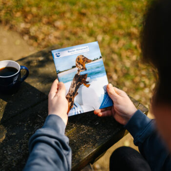 Revier-Almanach 2026